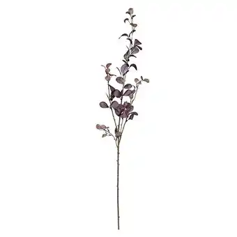 Tesco Purple Jade Eucalyptus Stem Decoration 95cm offer