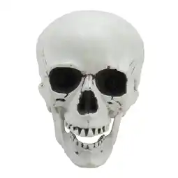 Tesco Living and Home Halloween Realistic Plastic Skull Tabletop Decoration offer