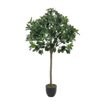 Tesco Living and Home Artificial Schefflera Arboricola Tree in Pot - 122cm offer