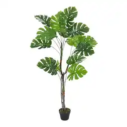 Tesco Living and Home Artificial Monstera Deliciosa Tree in Pot - 155cm offer