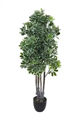 Tesco Living and Home Artificial Schefflera Arboricola Tree in Pot - 160cm offer