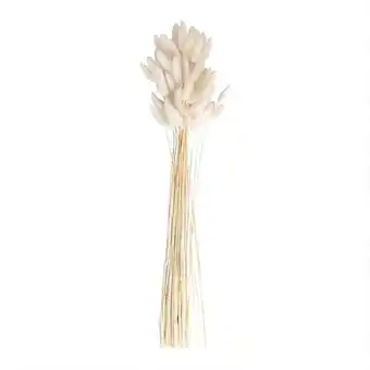 Tesco White Bunny Tail Grass - Pack of 20 offer