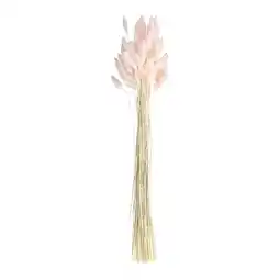 Tesco Baby Pink Bunny Tail Grass - Pack of 20 offer