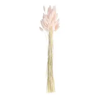 Tesco Baby Pink Bunny Tail Grass - Pack of 20 offer