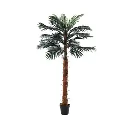 Tesco Living and Home Artificial Palm Tree with Pot for Decor, 180cm offer