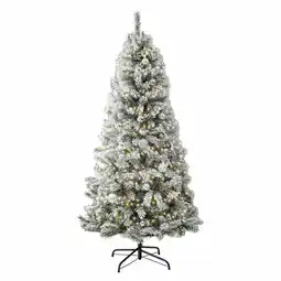 Tesco Scandinavian 7ft White Spruce Fir Artificial Christmas Tree offer