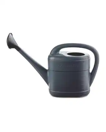 Aldi Plastic Watering Can offer