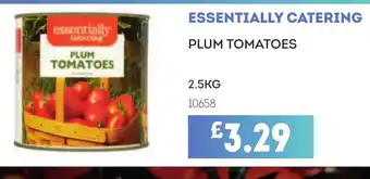 Bestway ESSENTIALLY CATERING Plum tomatoes offer