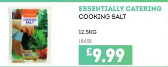 Bestway ESSENTIALLY CATERING Cooking salt offer