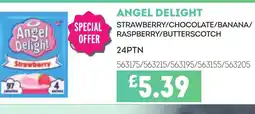 Bestway ANGEL DELIGHT Strawberry/chocolate/banana/ raspberry/butterscotch offer