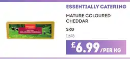 Bestway ESSENTIALLY CATERING Mature coloured cheddar offer