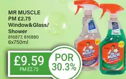 Bestway MR MUSCLE Window&Glass/ Shower offer