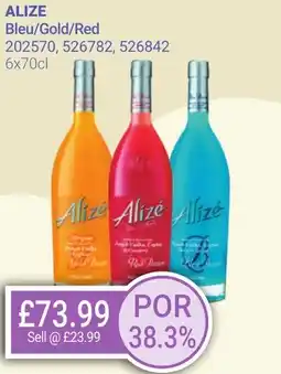 Bestway ALIZE Bleu/Gold/Red offer