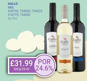 Bestway GALLO offer