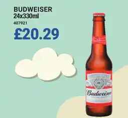 Bestway BUDWEISER offer