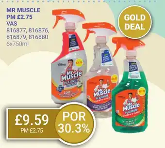 Bestway MR MUSCLE offer