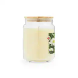 Asda George Home Large Jar Daisy Chains offer