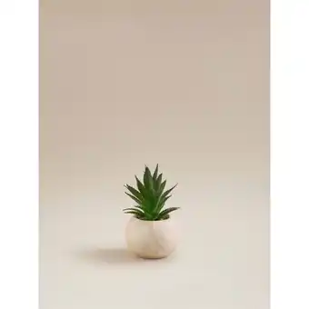 Asda George Home Natural Artificial Succulent In Travertine Pot offer