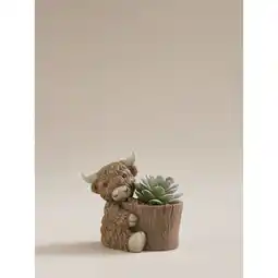 Asda George Home Artificial Succulent In Brown Highland Cow Planter offer