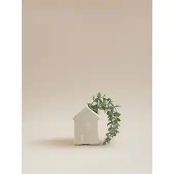 Asda George Home Cream Mini House Artificial Trailing Succulent offer