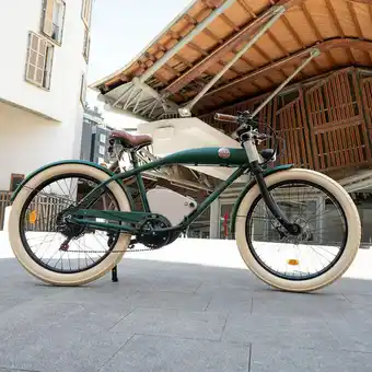Costco Rayvolt Clubman E-Bike with Lights, Leather Bag, Set Up Assistance and First Year Inspection offer