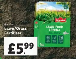 Lidl Grandiol Lawn/Grass Fertiliser offer