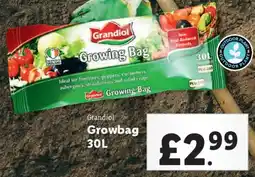 Lidl Grandiol Growbag offer