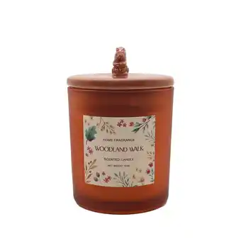 Morrisons Nutmeg Home Woodland Walk Squirrel Jar Candle offer