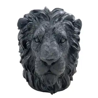 Morrisons Nutmeg Black Lion Planter offer