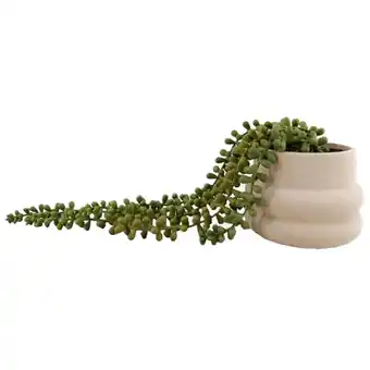 Morrisons Nutmeg Home String Of Pearls In Ceramic Pot offer