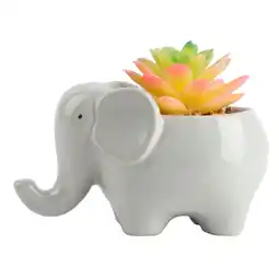 Morrisons Nutmeg Home Elephant Faux Floral offer