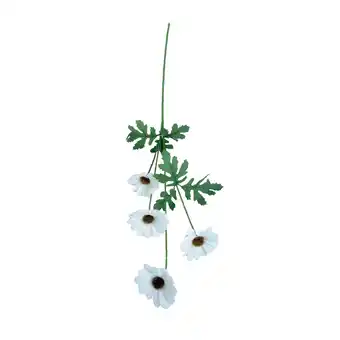 Morrisons Nutmeg Home Single Stem Daisy White offer