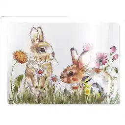 Morrisons Nutmeg Home Countryside Rabbit Table Mats offer