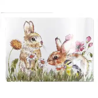 Morrisons Nutmeg Home Countryside Rabbit Table Mats offer