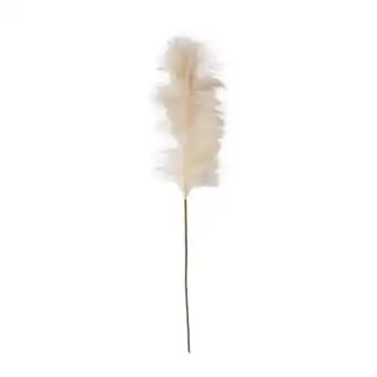 Morrisons Nutmeg Home Single Stem Pampas offer