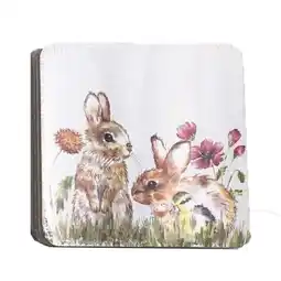 Morrisons Nutmeg Home Countryside Rabbit Coasters offer