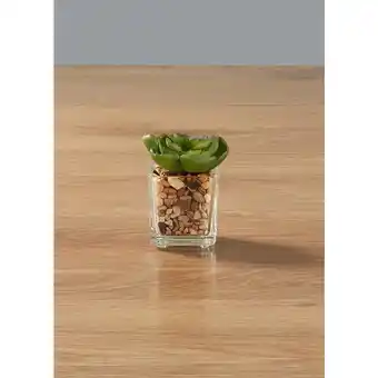 Morrisons Morrisons Artificial Echeveria Plant offer