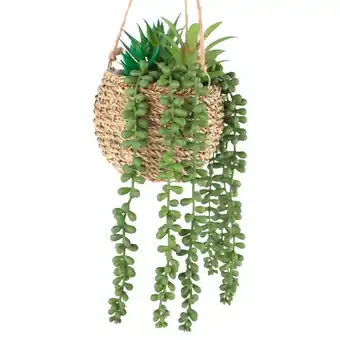 Morrisons Nutmeg Home Hanging Mixed Succulent Faux Floral offer