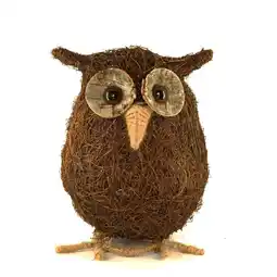 Morrisons Nutmeg Owl Funimal Ollie offer