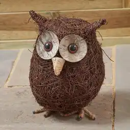 Morrisons Morrisons Ollie Owl Ornament offer