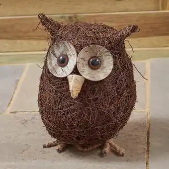 Morrisons Morrisons Ollie Owl Ornament offer