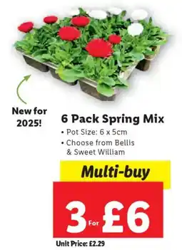 Lidl Spring Mix offer