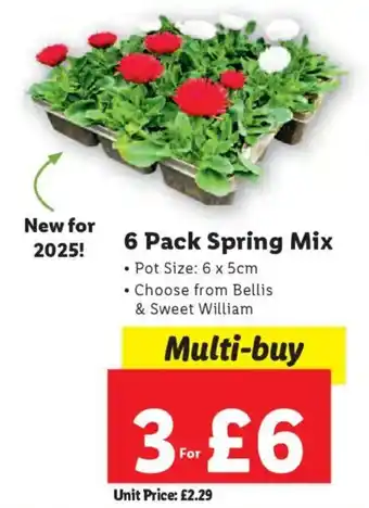 Lidl Spring Mix offer