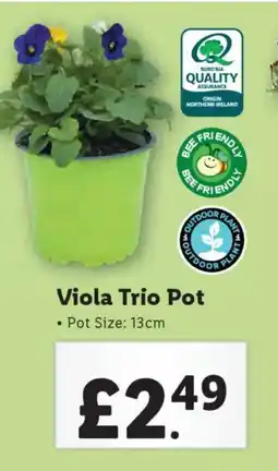 Lidl Viola Trio Pot offer