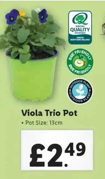 Lidl Viola Trio Pot offer