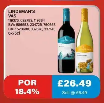 Bestway Lindeman's Vas offer