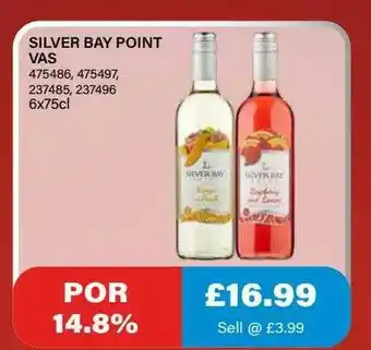 Bestway Silver Bay Point Vas offer