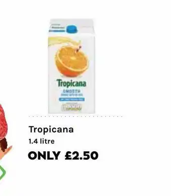 Mace Tropicana offer