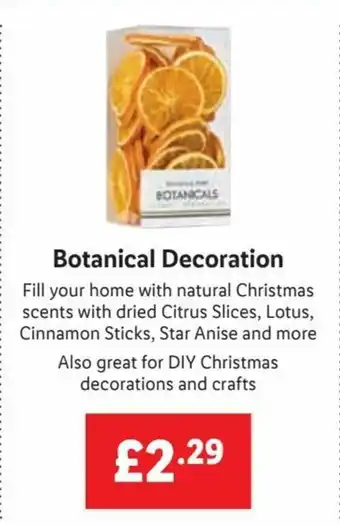 Lidl Botanical Decoration offer