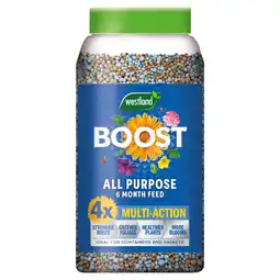Asda Westland Garden Health Boost All Purpose 6 Month Feed 750g offer